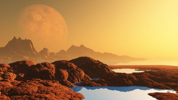 Effect Of Solar Eclipse On Animals Birds Bees Effect Of Solar Eclipse On Animals Birds Bees