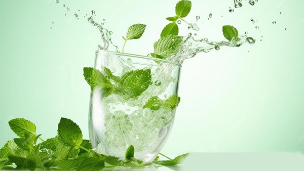 pudina water to weight loss