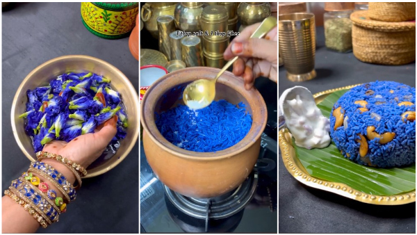 Blue-Coloured Flower Biryani Leaves Shock In Internet
