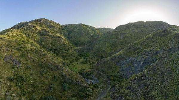 How Saudi Turns Lush Green Initiative