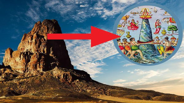 Huge Snake Skeleton Found In Gujarat Mineland