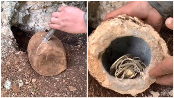 Man Finds Gold While Digging In Land Video Gone Viral