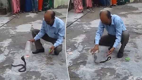 Man Traps Snake In Plastic Jar Man Traps Snake In Plastic Jar