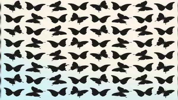 Find The Odd Butterfly In 7 Seconds Only 10 People Will Did