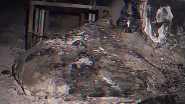 Do You Know Most Dangerous Object In The World Is Elephant Foot Formed In Chernobyl