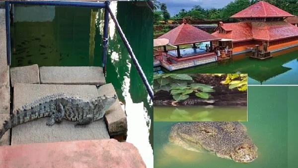 Ananth Padmaswai temple