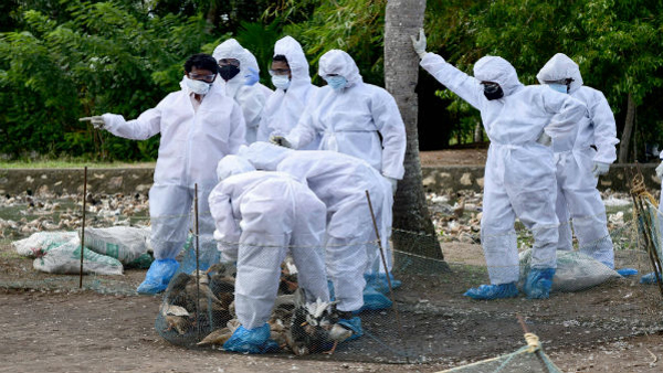 First Bird Flu Case Confirmed In India