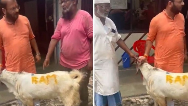 Shop Owner Writes Ram On Goat For Sale There Is A Reason Behind It