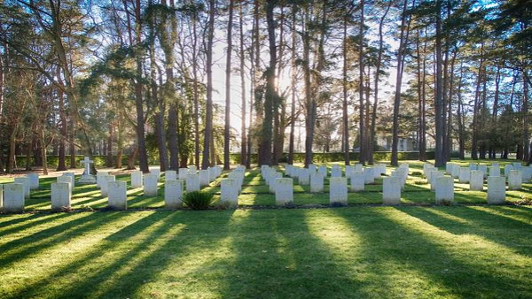 Cemetery Hosts Movie Screening For The Dead