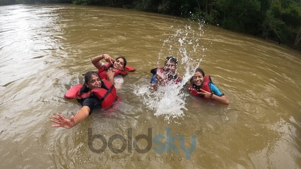 Dubare In Coorg Dubare In Coorg