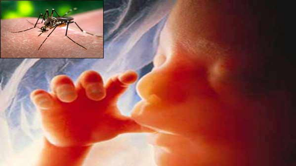 Four Children Died From Chandipur Virus
