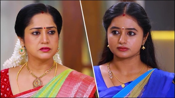 daughter In law Mother in Law Fight