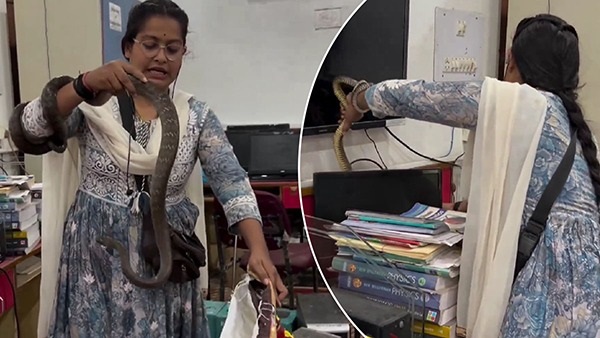 women catch snake viral video