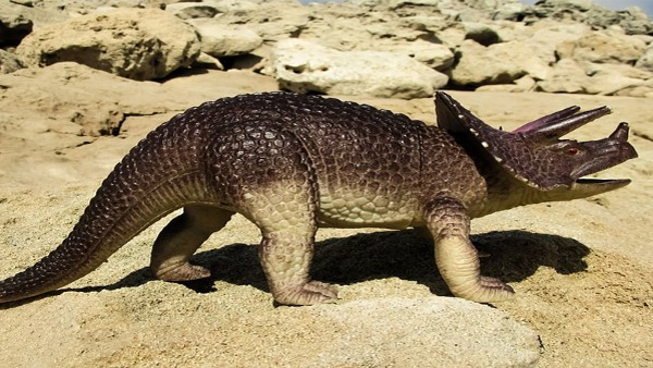 A 10-Year-Old Girl Discovered A Huge Dinosaur Footprint