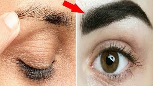 Home Remedies For Make Your Eyebrows Black And Thick