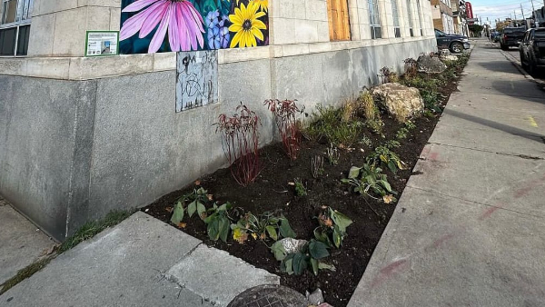 People Of The City Are Removing Concrete Floor Here Is The Reason