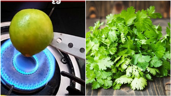How To Store Lemon-Coriander Leaves Safe For More Than A Month