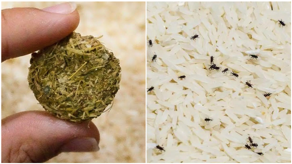Kitchen Tips How To Store Rice For Long Period Of Time