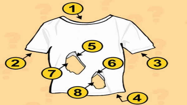 How Many Holes Are In This T-Shirt Can You Guess Right One