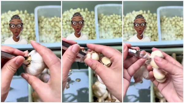 Kitchen Hacks How To Peel The Garlic In A Minute Video Gone Viral