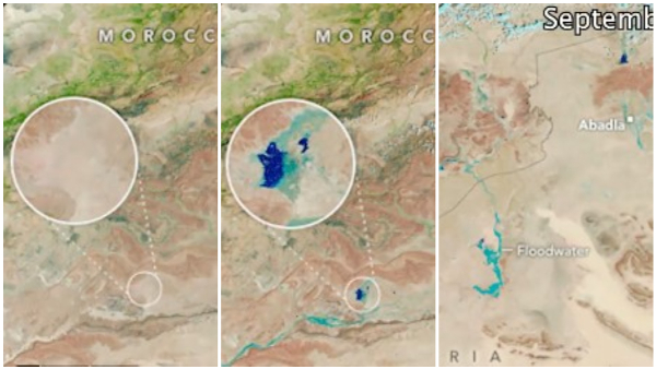 Nasa Shares A Photos Of Sahara Desert Turns Green