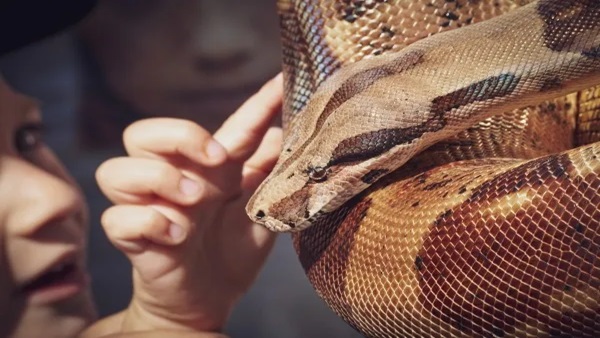 This Village Keeps Snakes In their Homes