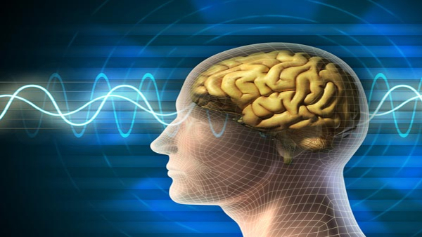 5 Most Feared Viruses That Can Destroy Your Brian