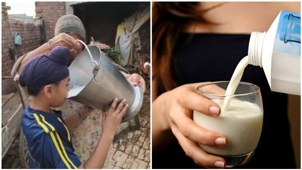 Raw Milk Warning Doctor Exposes Hidden Health Risks