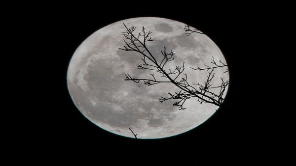 Not only Earth But Moon Also Affected By The Lockdown