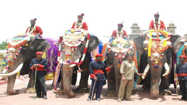 Which Was The First Elephant To Carry Mysuru Dasara Ambari Which Was The First Elephant To Carry Mysuru Dasara Ambari