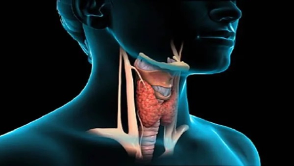 How Thyroid Cancer Does Spread In Body Symptoms And Treatment