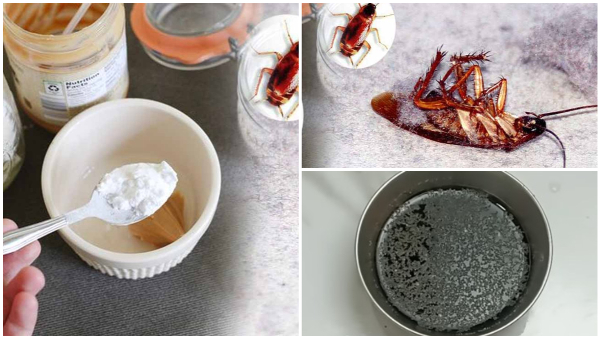 Kitchen Hacks How To Get Rid Of Cockroaches In Fridge Kitchen Hacks How To Get Rid Of Cockroaches In Fridge