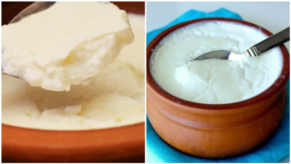 How To Make Thick Curd At Home In Easy Way How To Make Thick Curd At Home In Easy Way