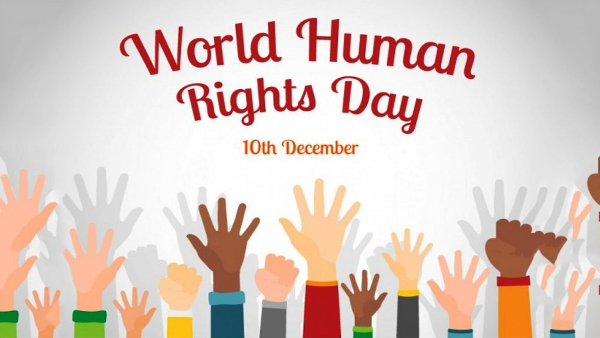 Celebrating World Human Rights Day 2024 Understanding Your Protected Rights
