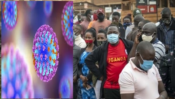 Dinga Dinga Virus Dinga Dinga Virus