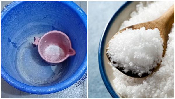 Easy Bathroom Hacks Salt Is Enough To Clean A Bucket In Bathroom