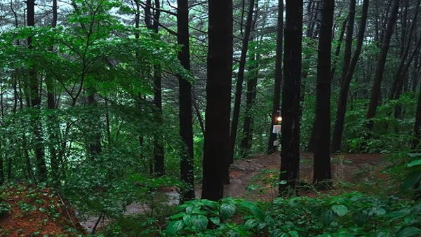 Have You Heard About Meat Rain Once it Happened in This City