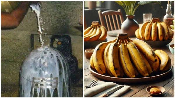 Banana Ban The Surprising Reason Behind This Hampi Temple s Decision