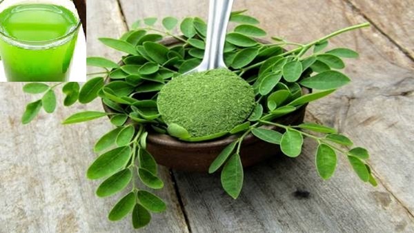 Drumstick Leaf Juice