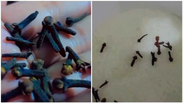 Kitchen Tips Easy Way To prevent Ants From Sugar Box