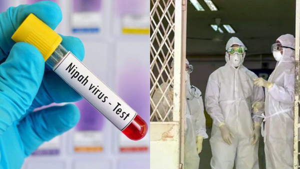 6 Viruses Predicted to Pose a Significant Threat in 2025