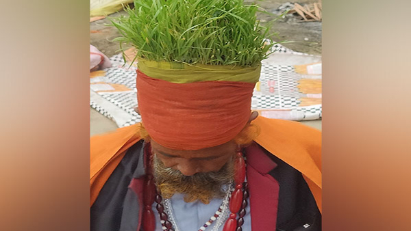 Meet The Baba Who s Growing Wheat And Millet On His Head