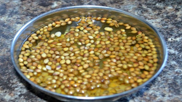 Benefits of Coriander Seed Water
