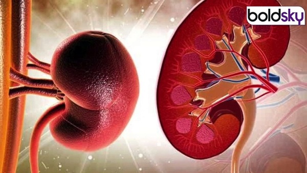 Kidney Disease Signs
