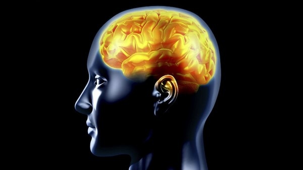 Unlock The Key To Preventing Strokes You Won t Believe How Simple It Is