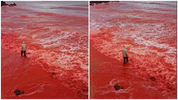 Mysterious Phenomenon Iranian Sea Turns Deep Red Leaving Viewers Stunned