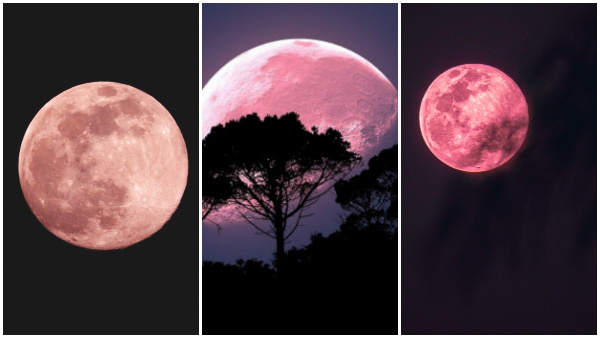 Pink Moon In April When What Time Can You See It