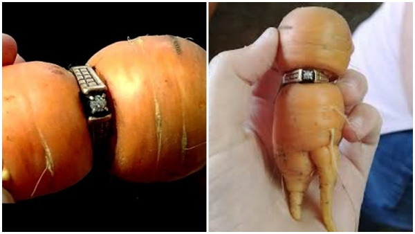 A Ring Worn 16 Years Ago Was Found In A Carrot