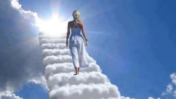 Brought Back to Life A Woman s Astonishing 24-Minute Journey Beyond