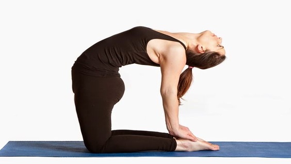 International Yoga day 2025 Try These 5 Simple Yoga Poses To Lose Weight